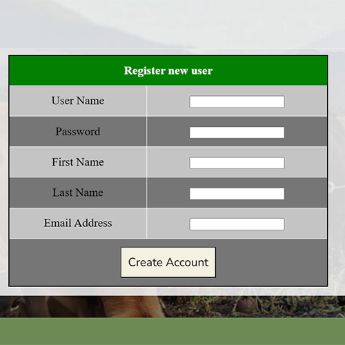 Create account step 2