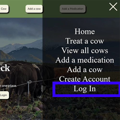 Create account step 3