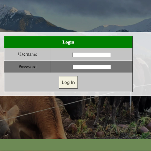 Create account step 4